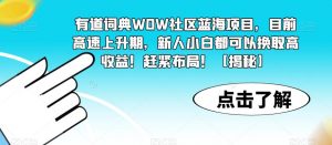 有道词典WOW社区蓝海项目,目前高速上升期,新人小白都可以换取高收益!赶紧布局!【揭秘】-网赚项目众筹网