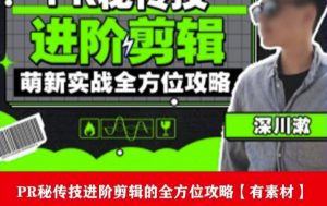 PR进阶剪辑培训班，让你快速成为剪辑大师12节视频课程+素材！-网赚项目众筹网