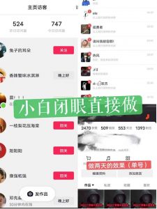 一天做完别一辈子的视频制作最近很火的《1000个野路子信息差》100%过原创【揭秘】-网赚项目众筹网