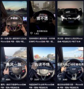 抖音开车视频项目，0基础操作，每天五分钟，月入1W+【揭秘】-网赚项目众筹网