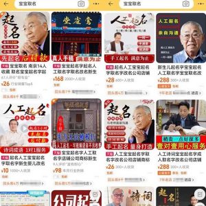 拆解小红书宝宝起名虚拟副业项目,一条龙实操玩法分享给你(教程+软件)-网赚项目众筹网
