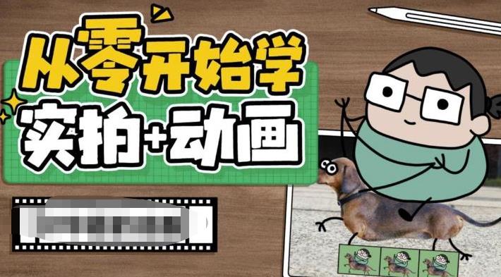 从零开始学实拍加动画，实拍加动画创意教程-网赚项目众筹网