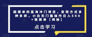 超简单的蓝海冷门项目,变现方式多种多样,小白无门槛操作日入500+很简单【揭秘】-网赚项目众筹网