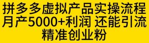 拼多多虚拟产品实操流程,月产5000+利润,还能引流精准创业粉【揭秘】-网赚项目众筹网