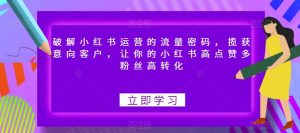 破解小红书运营的流量密码,揽获意向客户,让你的小红书高点赞多粉丝高转化-网赚项目众筹网