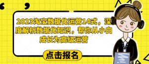 2023淘宝数据化运营14式，深度解析数据化知识，帮你从小白成长为高级运营-网赚项目众筹网