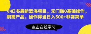 小红书最新蓝海项目,无门槛0基础操作,刚需产品,操作得当日入500+非常简单【揭秘】-网赚项目众筹网