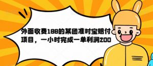 外面收费188的美团准时宝赔付项目,一小时完成一单利润200【仅揭秘】-网赚项目众筹网
