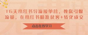 16天小红书导流接单营,教你引爆流量,在小红书精准获客+转化成交-网赚项目众筹网