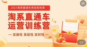 冠东·2023淘系直通车高级系统课,实操性,系统性,实时性,直通车完整体系教学-网赚项目众筹网