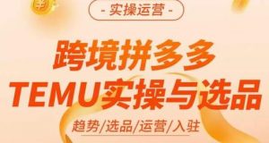 伍跃·跨境拼多多TEMU实操与选品,趋势/选品/运营/入住(27节完整)-网赚项目众筹网
