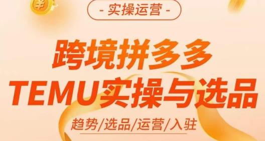 伍跃·跨境拼多多TEMU实操与选品，​趋势/选品/运营/入住（27节完整）-网赚项目众筹网