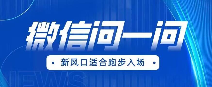 全网首发微信问一问新风口变现项目（价值1999元）【揭秘】-网赚项目众筹网