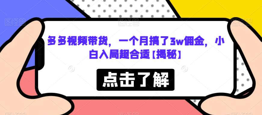 多多视频带货，一个月搞了3w佣金，小白入局超合适【揭秘】-网赚项目众筹网
