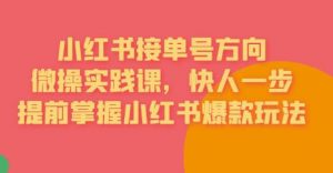 接单号方向·小红书微操实践课,快人一步,提前掌握小红书爆款玩法-网赚项目众筹网