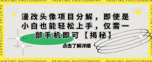 漫改头像项目分解,即使是小白也能轻松上手,仅需一部手机即可【揭秘】-网赚项目众筹网