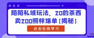 陌陌私域玩法,20的茶西卖200照样爆单【揭秘】-网赚项目众筹网