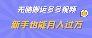 无脑搬运多多视频,新手也能月入过万【揭秘】-网赚项目众筹网