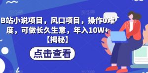B站小说项目,风口项目,操作0难度,可做长久生意,年入10W+【揭秘】-网赚项目众筹网
