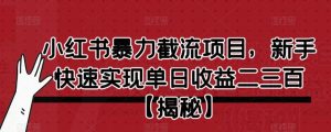 小红书暴力截流项目,新手快速实现单日收益二三百【仅揭秘】-网赚项目众筹网