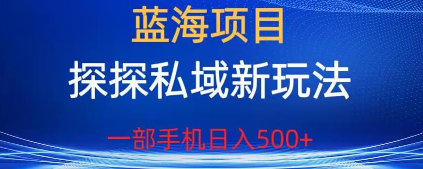 蓝海项目，探探私域新玩法，一部手机日入500+很轻松【揭秘】-网赚项目众筹网