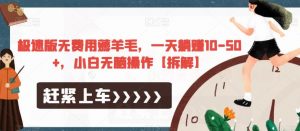 极速版无费用薅羊毛，一天躺赚10-50+，小白无脑操作【拆解】-网赚项目众筹网