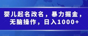 婴儿起名改名,暴力掘金,无脑操作,日入1000+【揭秘】-网赚项目众筹网