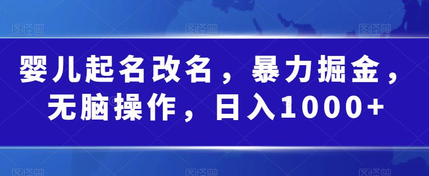 婴儿起名改名，暴力掘金，无脑操作，日入1000+【揭秘】-网赚项目众筹网