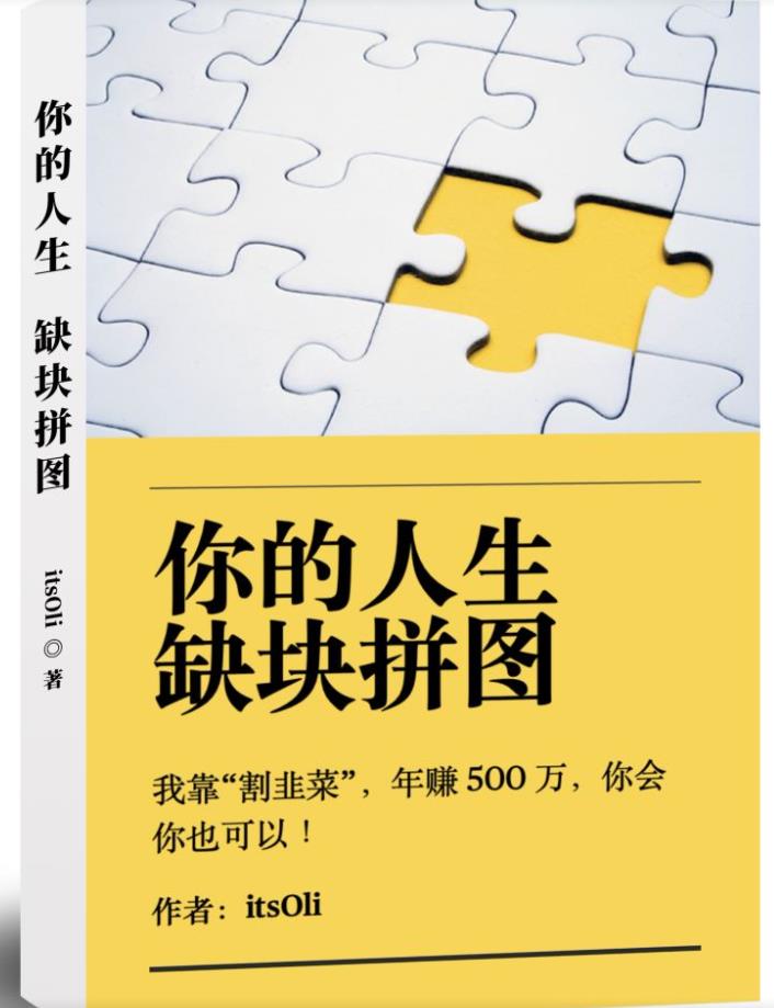 某高赞电子书《你的人生，缺块拼图——我靠“割韭菜”，年赚500万，你会你也可以》-网赚项目众筹网