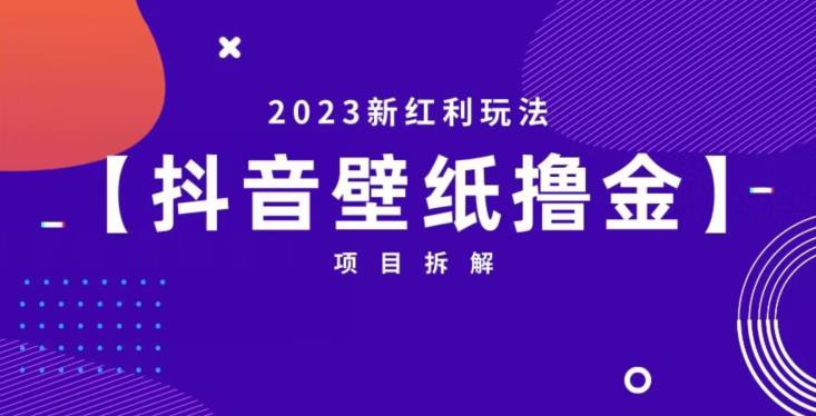 抖音壁纸小程序创作者撸金项目，2023新红利玩法【项目拆解】-网赚项目众筹网