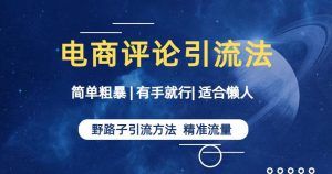 简单粗暴野路子引流-电商平台评论引流大法,适合懒人有手就行【揭秘】-网赚项目众筹网
