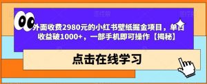外面收费2980元的小红书壁纸掘金项目，单日收益破1000+，一部手机即可操作【揭秘】-网赚项目众筹网