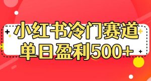 小红书冷门赛道,单日盈利500+【揭秘】-网赚项目众筹网