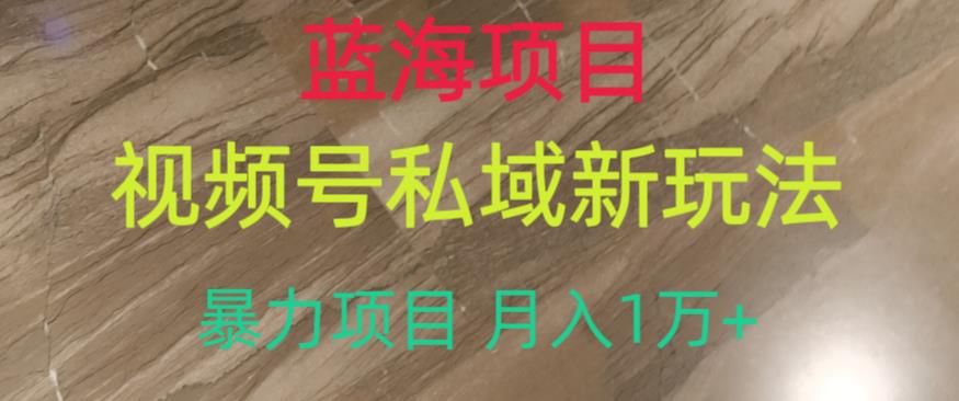 蓝海项目，视频号私域新玩法，暴力项目月入1万+【揭秘】-网赚项目众筹网