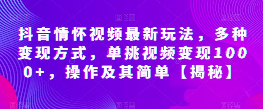 抖音情怀视频最新玩法，多种变现方式，单挑视频变现1000+，操作及其简单【揭秘】-网赚项目众筹网