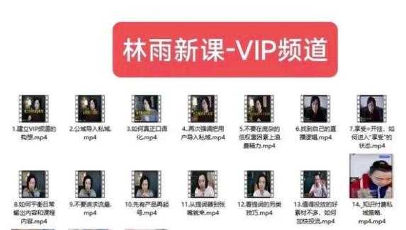林雨新课VIP频道，玩赚私域/朋友圈/社群-网赚项目众筹网