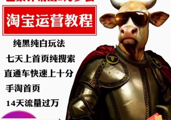 猫老师·淘系算法逆向解密，​纯黑纯白玩法，七天上首页纯搜索，手淘首页14天流量过万-网赚项目众筹网
