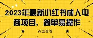 2023年最新小红书成人电商项目,简单易操作【详细教程】【揭秘】-网赚项目众筹网