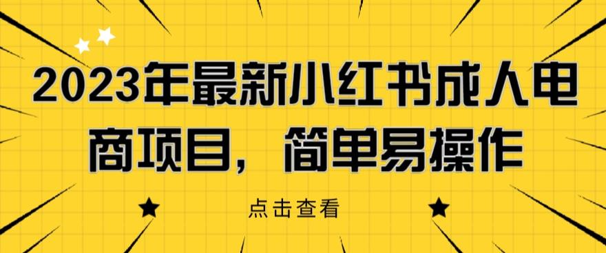 2023年最新小红书成人电商项目，简单易操作【详细教程】【揭秘】-网赚项目众筹网