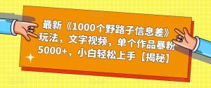最新《1000个野路子信息差》玩法,文字视频,单个作品暴粉5000+,小白轻松上手【揭秘】-网赚项目众筹网