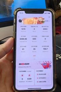 超级蓝海赛道保姆级教学,小红书无货源,无需实拍,如何做到日入1000+【揭秘】-网赚项目众筹网