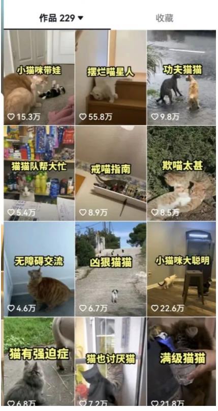 拆解：抖音盘点类中视频变现副业项目，视频版一条龙大解析分享给你-网赚项目众筹网