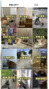 拆解抖音盘点类中视频变现副业项目，视频版一条龙大解析分享给你【视频课程】-网赚项目众筹网