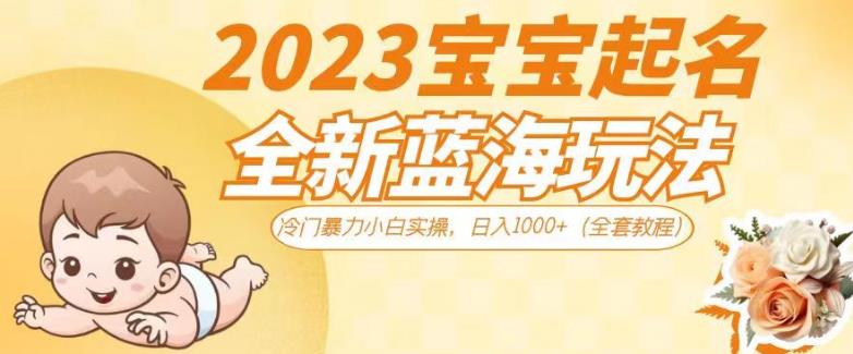2023宝宝起名全新蓝海玩法，冷门暴力小白实操，日入1000+（全套教程）【揭秘】-网赚项目众筹网