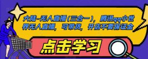 大陆-无人直播(三合一),腾讯qq小世界无人直播,可带货,开店不要保证金-网赚项目众筹网