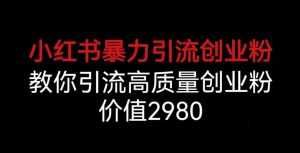 小红书暴力引流创业粉,教你引流高质量创业粉,价值2980【揭秘】-网赚项目众筹网
