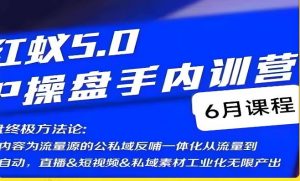 红蚁5.0IP操盘手内训营,IP操盘终极方法论-网赚项目众筹网