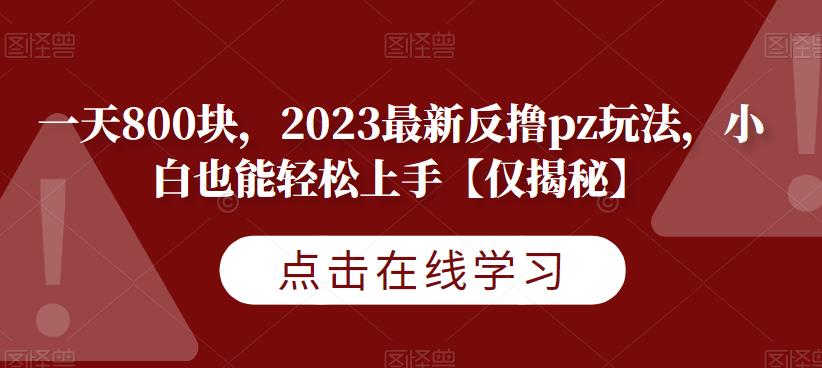 一天800块，2023最新反撸pz玩法，小白也能轻松上手【仅揭秘】-网赚项目众筹网