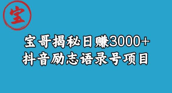 宝哥揭秘日赚3000+抖音励志语录号短视频变现项目-网赚项目众筹网