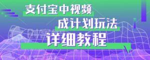 避坑玩法：支付宝中视频分成计划玩法实操详解【揭秘】-网赚项目众筹网
